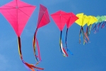 Kite Festival 2019 in Swaminarayan Gurukul, Arizona Current Events, kite festival 2019, Kite festival