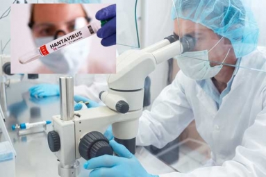 Hantavirus Scientists Were Close to Vaccine