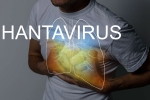 Hantavirus Transmission WHO, Hantavirus Transmission prevention, hantavirus requires prolonged close contact for transmission, Videos