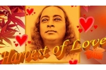 Events in Maryland, MD Event, harvest of love 2020, Accompaniment Events in Maryland, MD Event, harvest of love 2020, Accompaniment