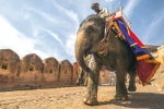 heritage tour meaning, india rajasthan tours, 10 best heritage tours in india, Bodh gaya