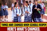coronavirus pandemic, School children education, how coronavirus pandemic changed the lives of children, School children