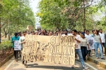 Hyderabad University land row, HCU Land, all about hyderabad university land row controversy, Animal