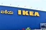 IKEA, Caterpillar in IKEA biryani, ikea hyd halts sale of veg biryani samosa after caterpillar in food item, Ikea india