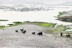 Indian Temperatures high, Uttarakhand, india is burning after monsoons are on, Be forgiving