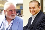 Fugitives, Fugitives, five fugitives india is trying to extradite, Vijay mallya
