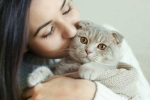 International Cat Day, Cat Owner, international cat day reasons why being a cat owner is good for health, Positive emotions