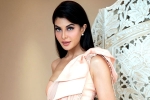 Jacqueline Fernandez case, Sukesh Chandrashekhar, jacqueline fernandez files complaint against sukesh chandrashekhar, Jacqueline fernandez