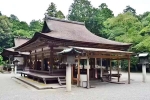 Japan Viral Mikami Shrine breaking news, Japan Viral Mikami Shrine latest breaking, why are travellers flocking to japan s viral mikami shrine, Priest Japan Viral Mikami Shrine breaking news, Japan Viral Mikami Shrine latest breaking, why are travellers flocking to japan s viral mikami shrine, Priest