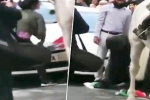 poonam joshi saving Indian flag, journalist saving Indian flag, watch journalist jumps into violent protest to save indian tricolor, Indian independence day
