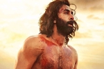 Animal, Animal, karan johar heaps praise on animal, Kabir singh