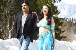 Katamarayudu latest, Katamarayudu collections, katamarayudu first weekend collections, Katamarayudu