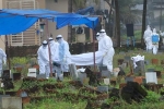 Nipah Virus, Kerala Nipah Virus tests, centre suggests special measures to kerala on nipah virus row, Nipah virus
