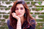 Bollywood, Bollywood, kriti sanon tested positive for covid 19, Kritisanon