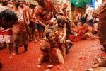 tomato festival spain 2019, tomatina festival 2019, la tomatina 2019 thousands hurl fruit at fun food festival, Barcelona