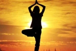 hindu swayamsevak sangh michigan, Surya Namaskar Yagna, learn perform surya salutation on jan 27 in scottsdale, Surya namaskar