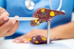 Liver Health latest, Liver Health, factors that worsens your liver health, Smoking