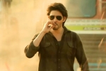Guntur Kaaram postponed, Trivikram, major changed for mahesh babu s guntur kaaram, Pooja hegde