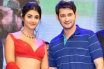 Pooja Hegde with Mahesh, Trivikram, mahesh babu all set to romance pooja hegde again, Maharshi