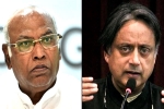 Mallikarjun Kharge Vs Shashi Tharoor news, Mallikarjun Kharge Vs Shashi Tharoor, mallikarjun kharge vs shashi tharoor in congress president race, Shashi tharoor