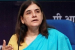 Maneka Gandhi on #MeeToo, #MeToo movement, sexual harassment charges must be taken seriously maneka gandhi, Women journalists