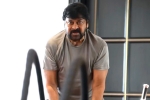 Chiranjeevi breaking news, Vishwambara, megastar chiranjeevi is back to work, Trisha