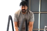 Chiranjeevi latest updates, Chiranjeevi breaking news, megastar chiranjeevi is back to work, Trisha krishnan