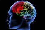 Iowa State University, mental activity, brain use it or lose it, Alzheimer disease