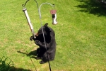 Department of Natural Resources, Department of Natural Resources, keep michigan black bears at a distance, Barbeque
