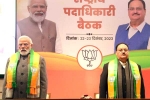BJP, Narendra Modi breaking news, modi urges bjp cadre to strive for hat trick victory, Namo app