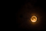 what will happen if you look at the moon on ganesh chaturthi, what will happen if you look at the moon on ganesh chaturthi, here s why you should not look at moon on ganesh chaturthi, Ganesh chaturthi festival