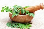 Moringa health benefits, Moringa in diet, is moringa a must have in your diet, Encourage better sleep Moringa health benefits, Moringa in diet, is moringa a must have in your diet, Encourage better sleep