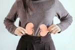 Kidneys Health latest, Kidneys Health, morning habits to keep your kidneys healthy, Yogurt