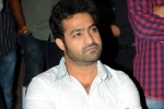 Kalyanram, NTR latest news, ntr s fans unhappy with his decision, Nannaku prematho Kalyanram, NTR latest news, ntr s fans unhappy with his decision, Nannaku prematho