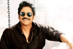 Bangarraju movie updates, Naga Chaitanya, nag s bangarraju to have a special dancing number, Heaven