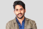 Naga Chaitanya new film, Sai Pallavi, interesting title for naga chaitanya s next, Majili
