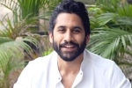 Naga Chaitanya breaking updates, Naga Chaitanya movie updates, naga chaitanya makes interesting comments, Sobhita dhulipala Naga Chaitanya breaking updates, Naga Chaitanya movie updates, naga chaitanya makes interesting comments, Sobhita dhulipala