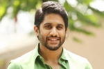 Naga Chaitanya, Naga Chaitanya next film, naga chaitanya signs his next, Express raja