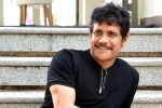 Nagarjuna upcoming movies, Nagarjuna new movie, nagarjuna s 100th film will be a multi starrer, Nagarjuna 100th film