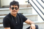 Nagarjuna new movie, Mohan Raja, nagarjuna s 100th film locked, Bangarraju