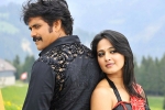 Nag's next, Nagarjuna news, nag and anushka to team up, Raju gari gadhi 2