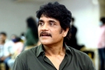 Nagarjuna upcoming movie, Sreenivasaa Chitturi, nagarjuna in a periodic drama, Bigg boss