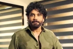 Nagarjuna Personal Rights updates, Nagarjuna Personal Rights news, delhi high on nagarjuna s personal rights, Delhi court Nagarjuna Personal Rights updates, Nagarjuna Personal Rights news, delhi high on nagarjuna s personal rights, Delhi court