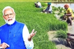 Narendra Modi latest, Narendra Modi latest, narendra modi s innovations for farmers, Productivity