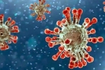 China Covid Row review, Covid-19, new china coronavirus variant traced in india, China coronavirus