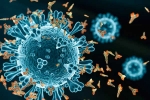 XEC Covid Variant in countries, XEC Covid Variant symptoms, new xec covid variant detected in 27 countries, Norway