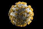 Coronavirus new variants latest, Coronavirus new variants, new variants of coronavirus will continue to emerge, Coronavirus in china