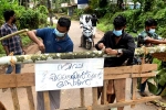 Nipah Virus cases, Nipah Virus observation, nipah virus lock down in 7 containment zones, Fluid