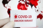 Omicron USA research, Omicron USA updates, omicron is no worse than other variants says us scientists, Anthony fauci