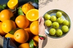 Orange Or Amla for health, Orange Or Amla healthy diet, orange or amla for weight loss diet, Healthy gut Orange Or Amla for health, Orange Or Amla healthy diet, orange or amla for weight loss diet, Healthy gut